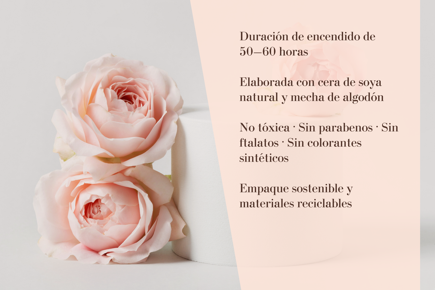 AMOROSA · rosas frescas — contención y conexión