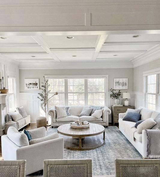 Orden visual y sistema nervioso