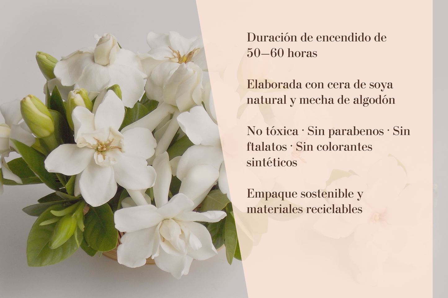 ELEGANTE · gardenia dulce — armonía, orden y sofisticación